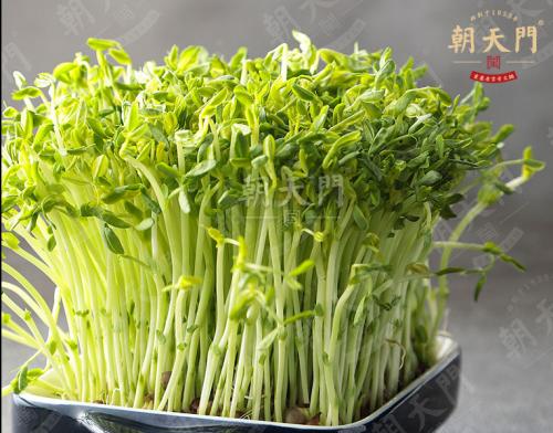 朝天门火锅加盟店活体绿豆芽菜品图